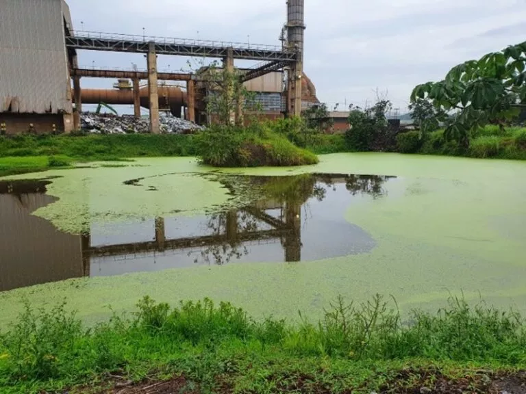 ArcelorMittal-1-768x576