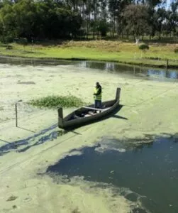 Rio-Morto-e-Rio-Tubarao-SC-3-251x300