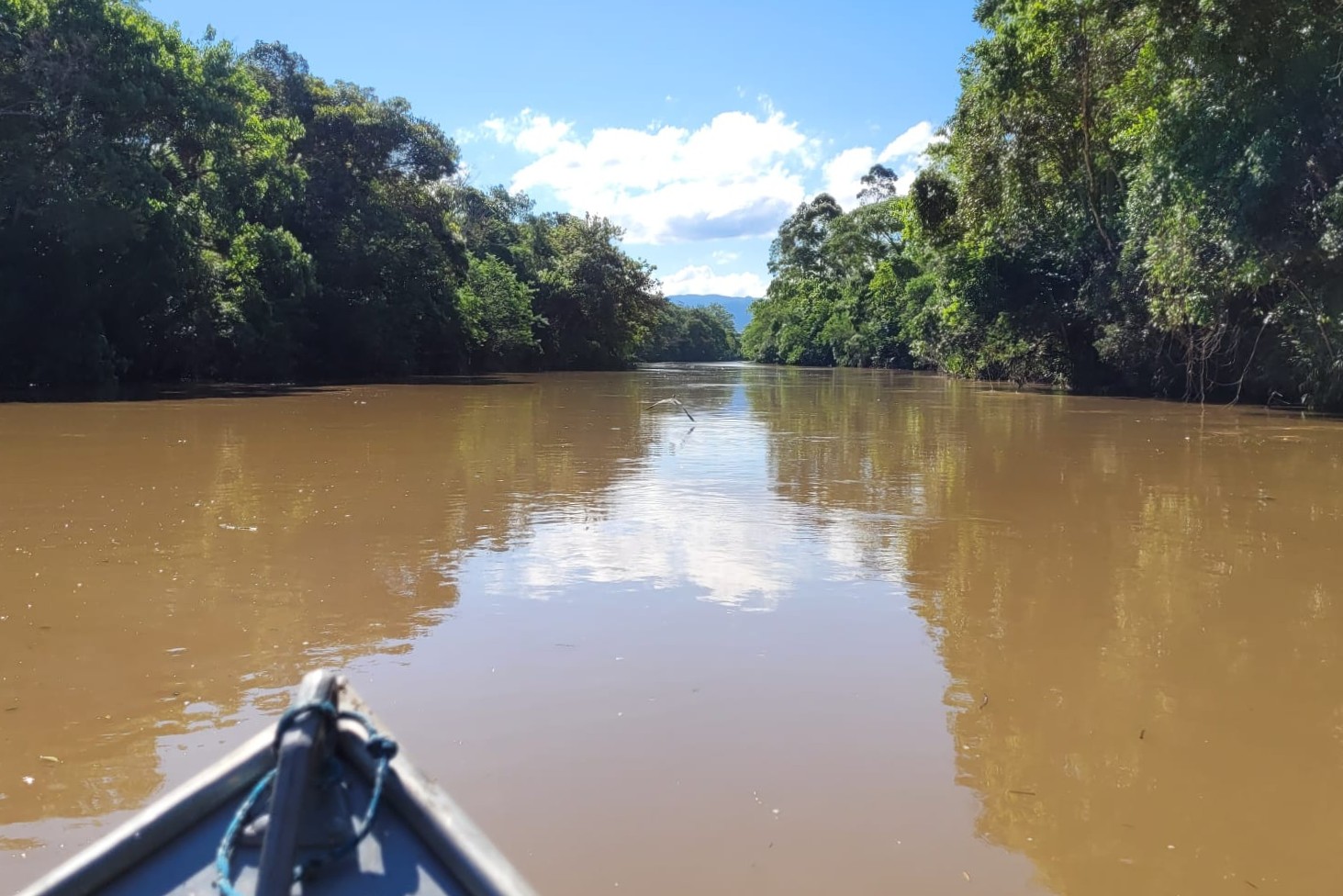 Hydroscience - Líderes em recuperação e gestão de recursos hídricos